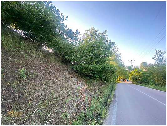 FATSA ILICA KAYAKÖY MAH. YOL ÜZERİ ANA YOLA CEPHE SATILIK ARAZİ